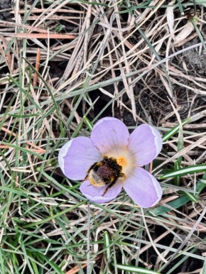 Погода 26 марта. Сегодня синоптики обещают облачную погоду