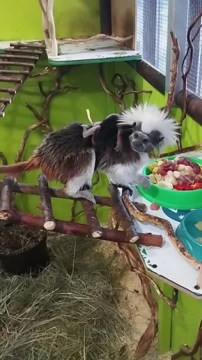 � ������������ �������� � �������� ��������� ��������� ������ ���������