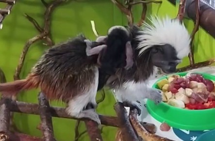 ������������ �������� � �������� ��������� ��������� ������ ���������