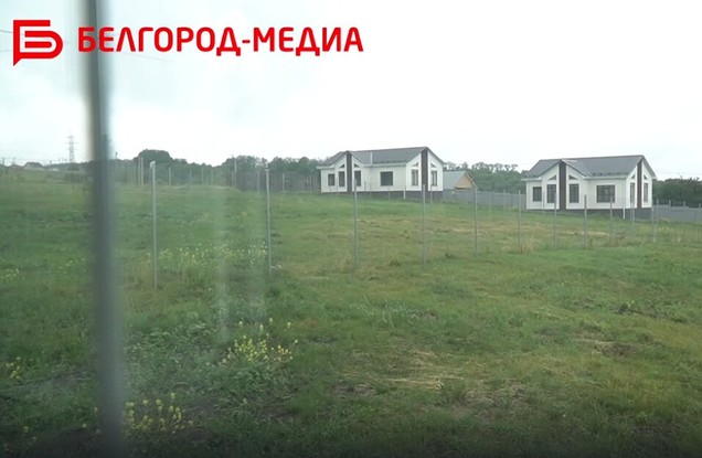 Белгородской области утвердили перечни опасных видов чужеродных растений