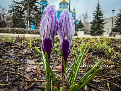 ������ ����, ��������!. ������� � ������ ��������� ��������� ������, ������� �������� �����