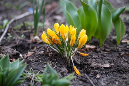 ������ 28 �����. ������� ��������� ������� �������� ������