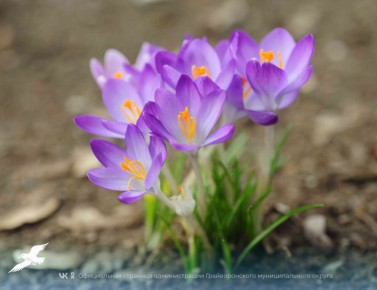 � ������ �����, ������!. ������� �������� �� ���� ������