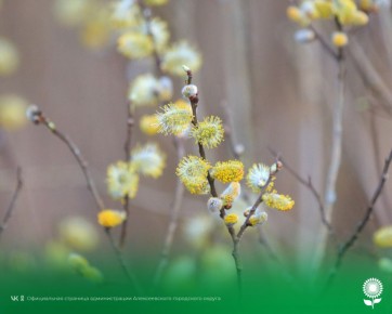 28 марта. Температура воздуха 16°C, пасмурно, без осадков