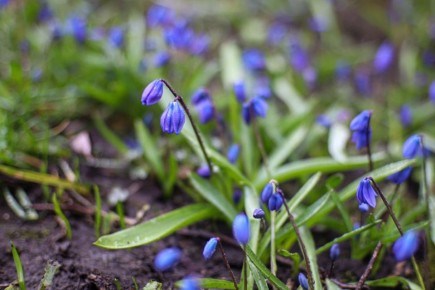 ������ 29 �����. ������� ��������� ������� �������� � ������������ ������