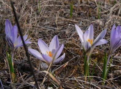 Сегодня, 30 марта, будет переменная облачность