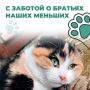 С заботой о братьях наших меньших