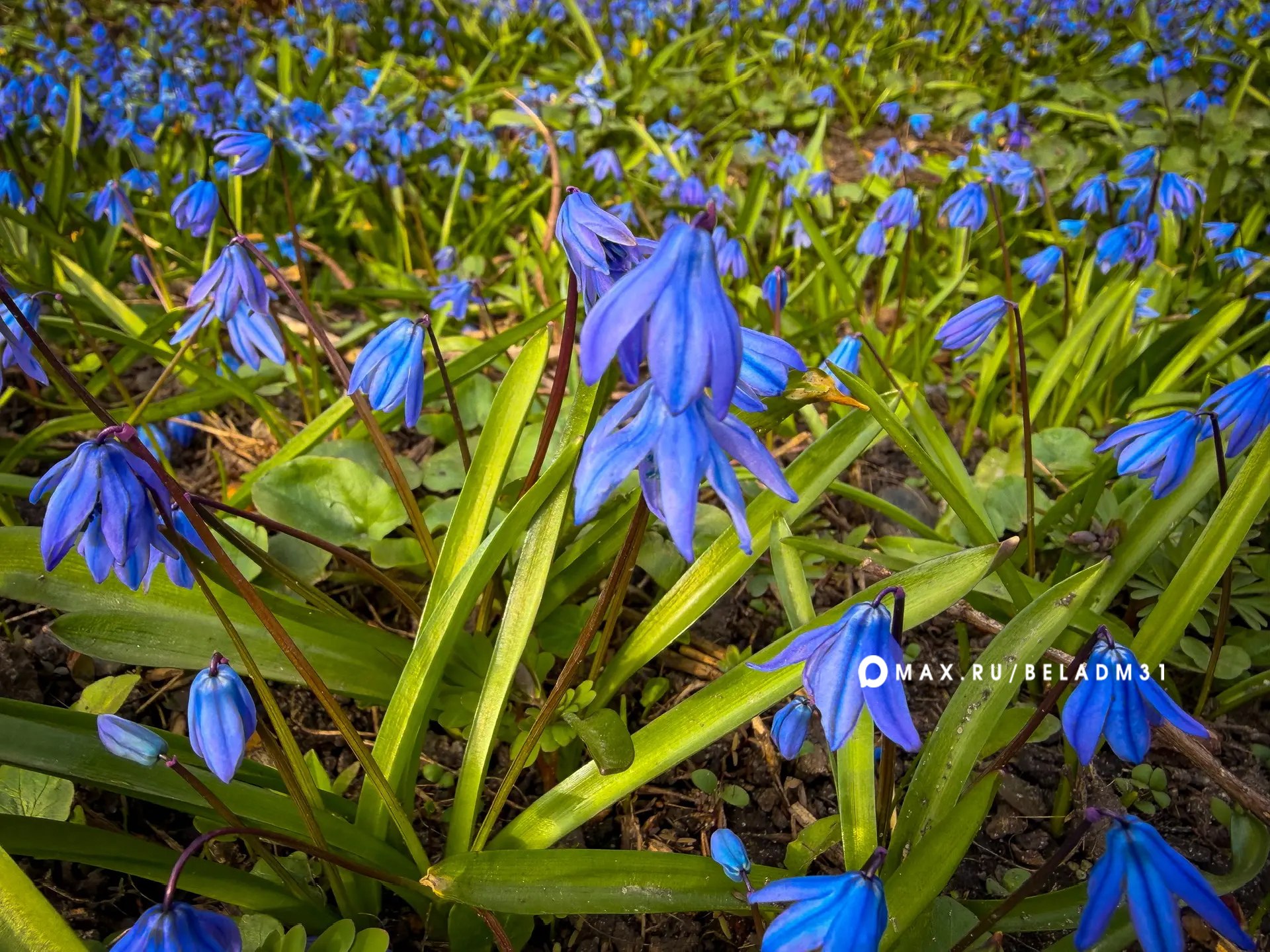 Доброе утро, Белгород!. Сегодня, 30 марта, в городе будет по-весеннему тепло — столбики термометров поднимутся до +16 градусов
