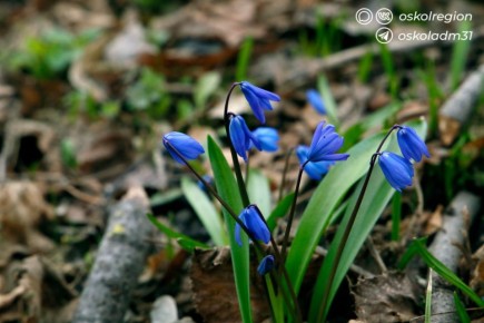 ������ ����, �������������!