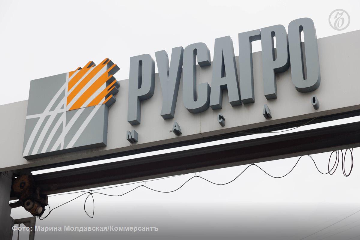 Ключевая структура холдинга, — ООО «Группа компаний "Русагро"», зарегистрированная в Белгороде, — по итогам 2025 года снизила чистую прибыль на 80,7%