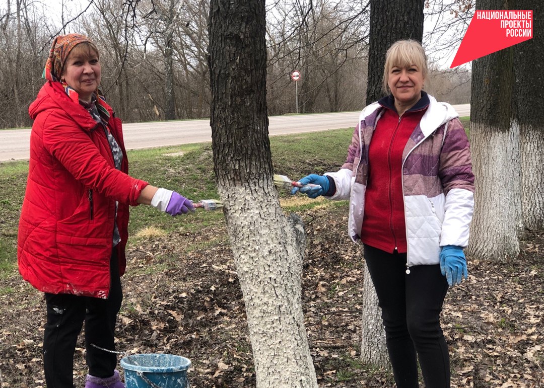 В Валуйском округе продолжаются мероприятия по добровольному служению Белгородской области