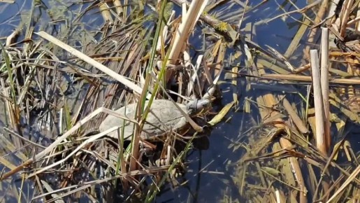 � �� �������� ����,. � �� �������� �����