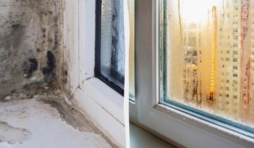 Оптимальные времена для проветривания: как избежать плесени и конденсата