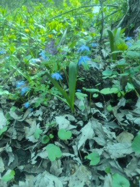 ������ ����, ����������!. ������� ������� ����������� ������� �������� 16 �������� �����