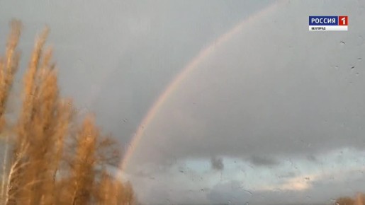 ��������������� ������. Telegram | MAX | �������� �������