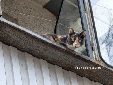 Доброе утро!. Сегодня, 1 апреля, ожидается дождь и местами туман