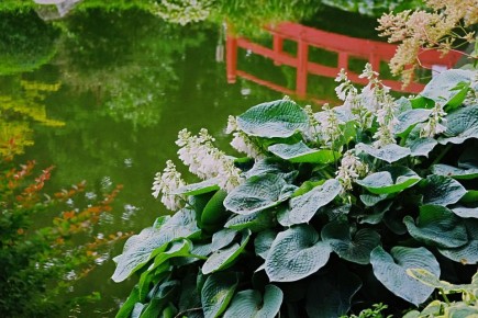 �� ����� �� ��������: ��������, ��������� � ����� �������� ��������