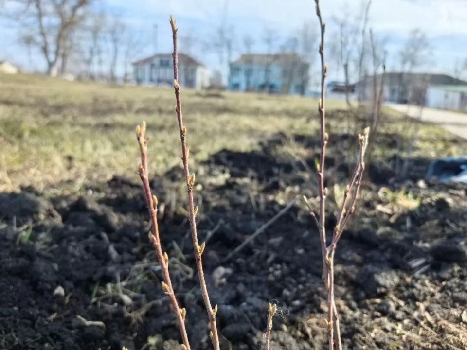 ������������� ���� ������ ����� �������� � ���� ��������������