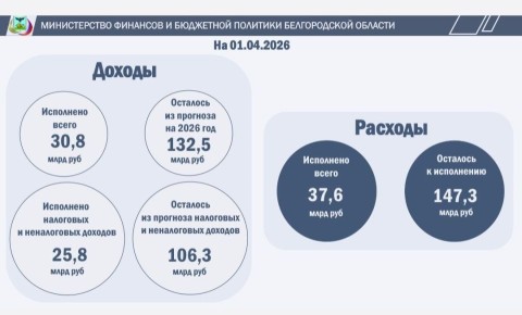 Исполнение бюджета. Белгородской области
