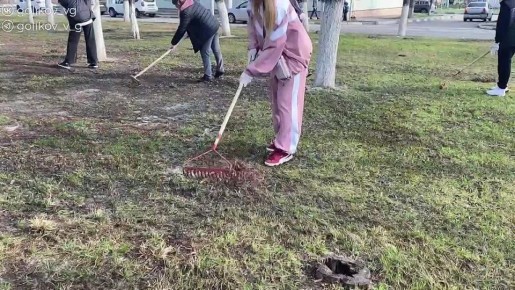 ���������� ������������, � ���������� ����� ������������� ��������� ����� �������: ��� �������-����������, ������������ ������, ����������� �������� � ���� �������� �������� ��� ���� ������� ������� ������� - ������� �������