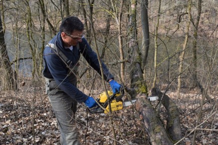 � ����������� ������ ��������� ��������� ���������