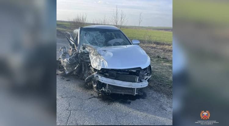 � ���������� ������ � ��� ����� 61-������ �������