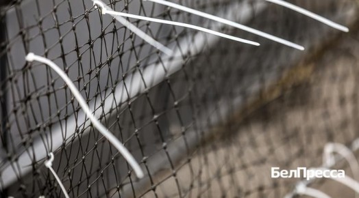 ������������ ������� ������ ��������� ��������������� ��������� � �������