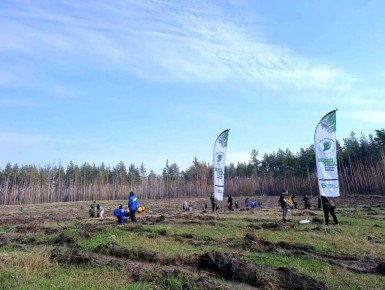 ������ �������: ������������ ������� ������� � ������������ ����� ���� ������