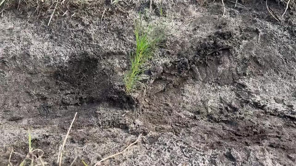 ������������ �������������� � ����� ���� ������