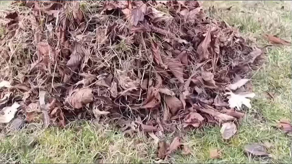 ������� � ���� ������������ �� ���������� ���������� � ����� ������!