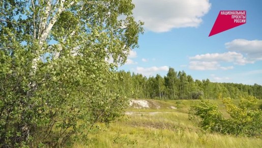 #�������������������������31