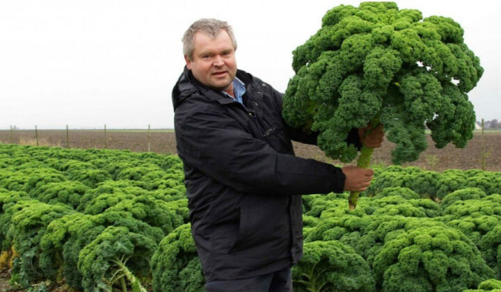 Заготовки на зиму: капустные салаты в банках