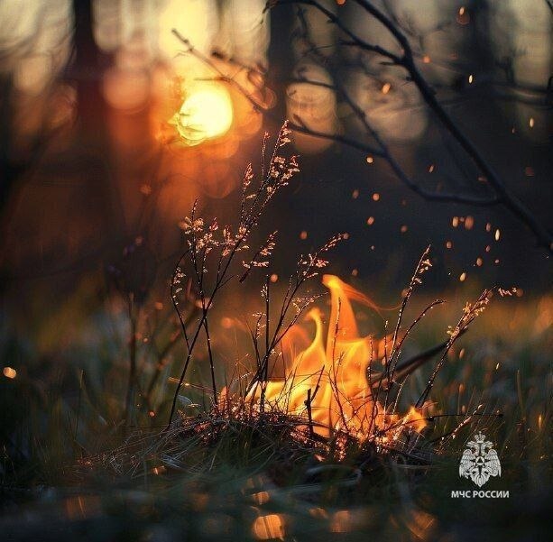 РСЧС: В связи с установившейся тёплой погодой на территории региона, спасатели настоятельно призывают: