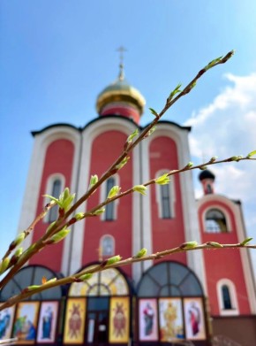 ��������� ������������!. ������� ������� �����������, ��������� ����������� ����� ������, ��������, ����������� ������ �� ������� ������� ������������ ������� � ����� ������� ������ ������ � ���������