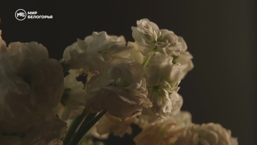 ������ ����� � �������� ����