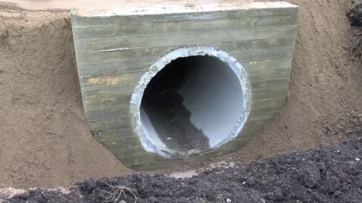 �������� �������: � ���������� ����������� ������ ��������� ��������� ������� ���� �������������