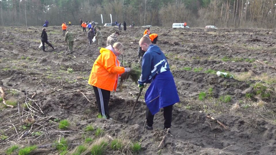 � �������������� ������ �������� �������� ���� ������