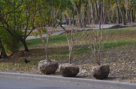 ������������ ������� ������� �������� �������������� �����