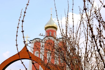 ������� ������!. ������� ����� ��������� � ��������� ������������ � ������� ������������ ���������� � ������������� ��������� ����������! ���� ������� ���� ��������� ������ �������� � ��������, ��������� � ������ ��������...