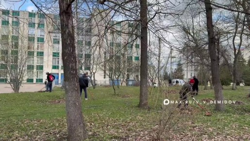 ������� � ���������� ������� ������� ����� 250 �����������