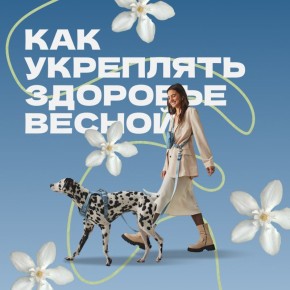 ������ ������, ������ ����, ����� ��������