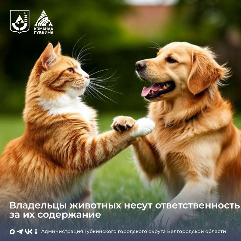 ��������� �������� ������ �������������� ��������� ������� ���������� ��������