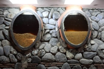 ������: �������� �����, � ������� ����� �������� �� ����