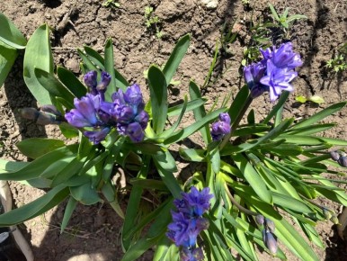 ������ 8 ������. ������� ��������� ������� ��������� �����