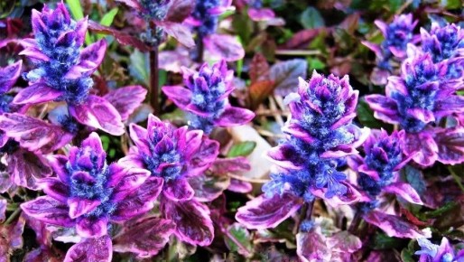 ������ ������������� ����� ��� ������ ����