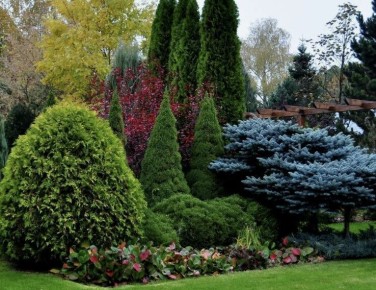 ��� ��������� ������������� �������: ������� ������������ ���������