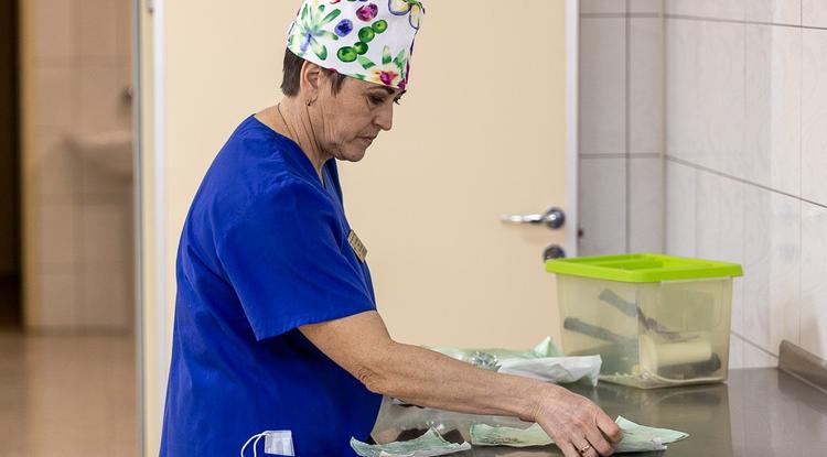 Грайворонец обратился в больницу с ранениями