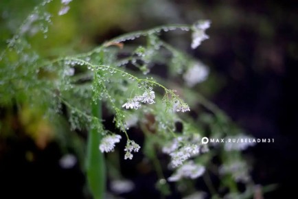 Доброе утро, Белгород!. 9 апреля нас ждёт облачная погода