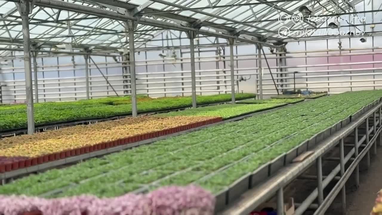 Старый Оскол готовится к весеннему преображению