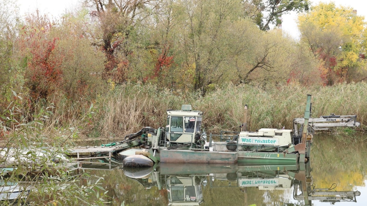 В Репном Шебекинского округа расчистят участок реки Короча